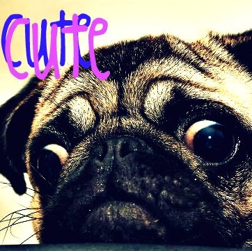 Megan Farnsworth Photo 6