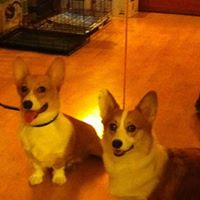 Charles Watt Photo 12