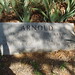Perry Arnold Photo 30