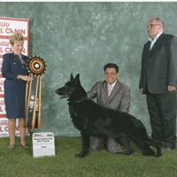 Carol Fielding Photo 5