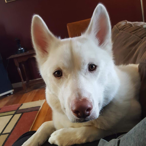 Alicia Clements Photo 5