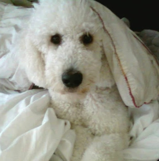 Julia Cortez Photo 14