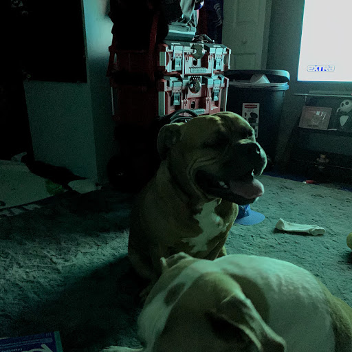 Dennis Armstrong Photo 13