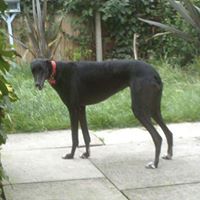 Keith Parrott Photo 18