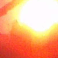 Michelle Mcneal Photo 17