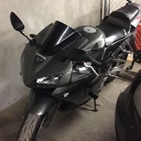 Robert Alter Photo 15 Robert Alter Photo 15