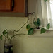 Kelly Burgess Photo 6