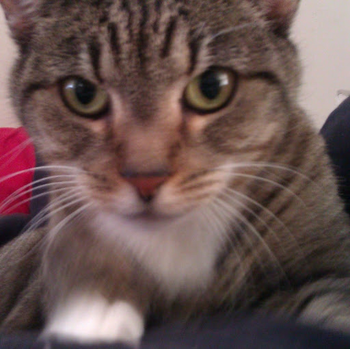 Christopher Turner Photo 60