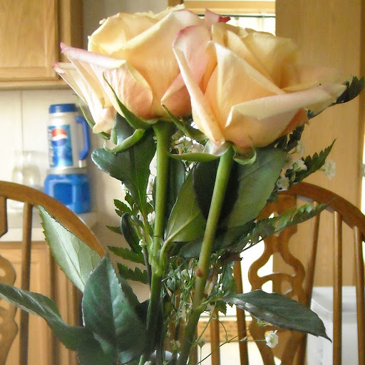 Raymond Cramer Photo 13