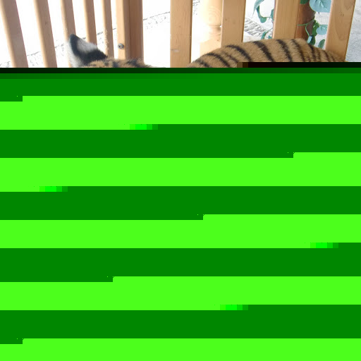 Michelle Hardin Photo 23