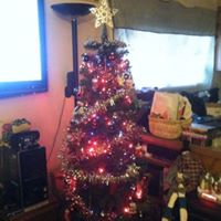 Sandy Downs Photo 36