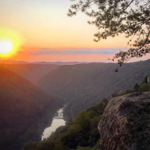 Stacy Harrison Photo 3