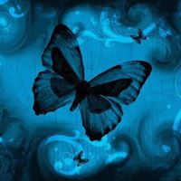 Tammy Flemming Photo 2