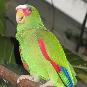 Barbara Travis Photo 20