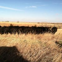 Shane Fleming Photo 15