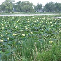 Betty Cable Photo 25