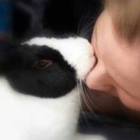 Tracey Parnell Photo 6