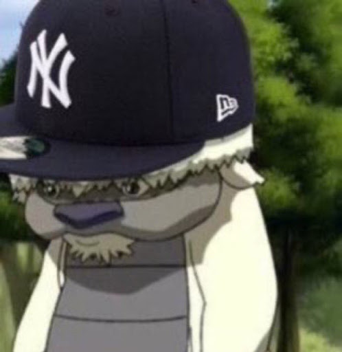 David Spicer Photo 20 David Spicer Photo 20