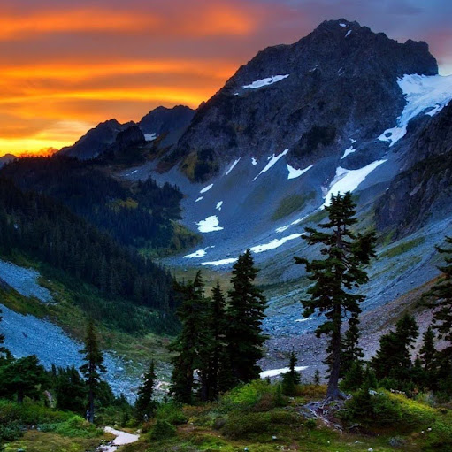 Tommy Wells Photo 43