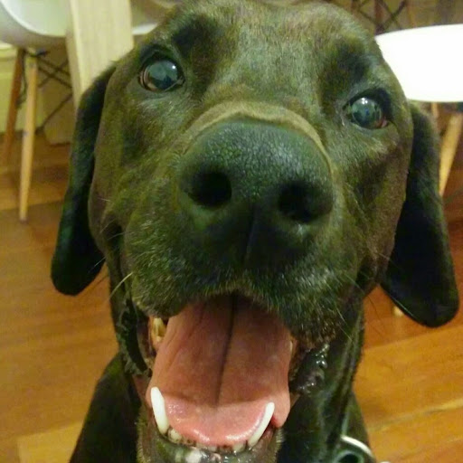 Emily Block Photo 10