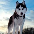 Elisa Castillo Photo 14