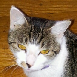 Sharon Lowery Photo 12