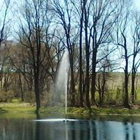 Cathy Mills Photo 45