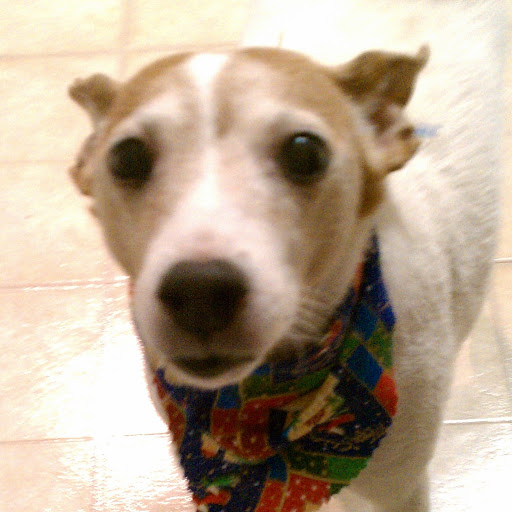 Robert Wirth Photo 21