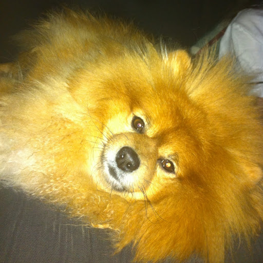 Jonathan Yee Photo 24