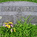 William Gallagher Photo 17