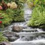 Theresa Hammons Photo 10