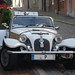 Robert Panter Photo 25