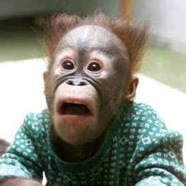 Crystal Mayes Photo 11