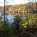 Lisa Watson Photo 12
