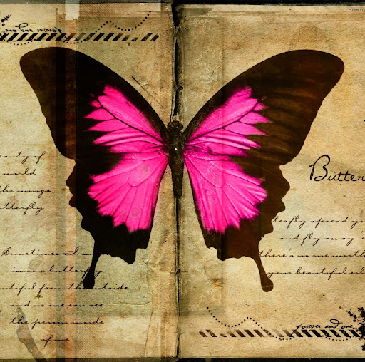 Elisabeth Schulz Photo 15