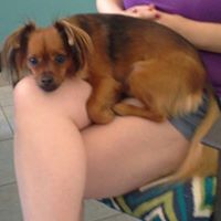 Candice Schmidt Photo 14