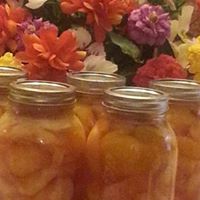 Marilyn Wood Photo 8