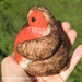 Robin Ball Photo 30