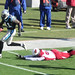 Brandon Robinson Photo 25