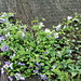 Heather Rood Photo 8