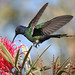 Sheri Bird Photo 19