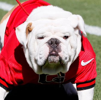 Terry Morgan Photo 9