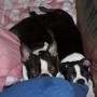 Jeff Robbins Photo 46