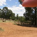 Ken Richmond Photo 14