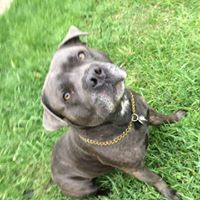 Steven Lane Photo 29