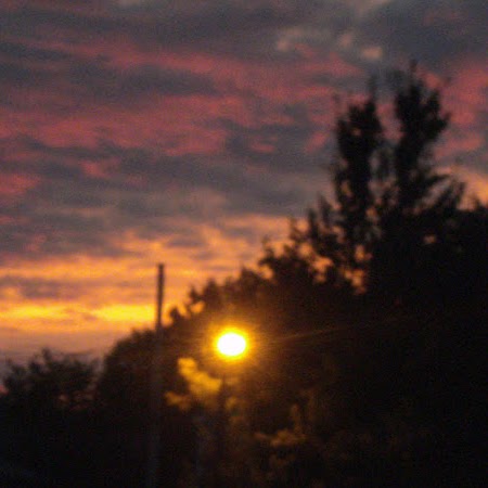 Lori Pittman Photo 37