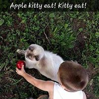 Kelly Laughlin Photo 21