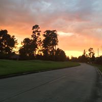 Martha Fancher Photo 5