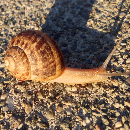 Adam Gutierrez Photo 17