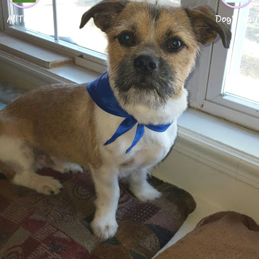 Connie Warren Photo 28